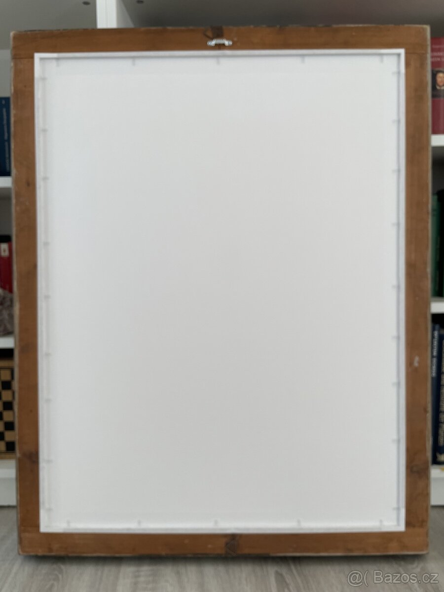 Borovice lesní Print Pinus Sylvestris pine - 5