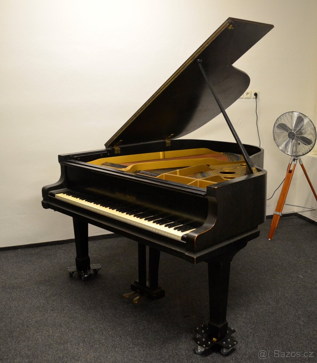 AUGUST FÖRSTER - AKČNÍ SLEVA 30 000Kč - 5