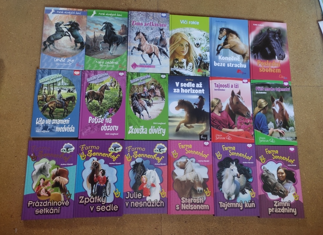 Knihy pro děti, příběhy o koních - 5