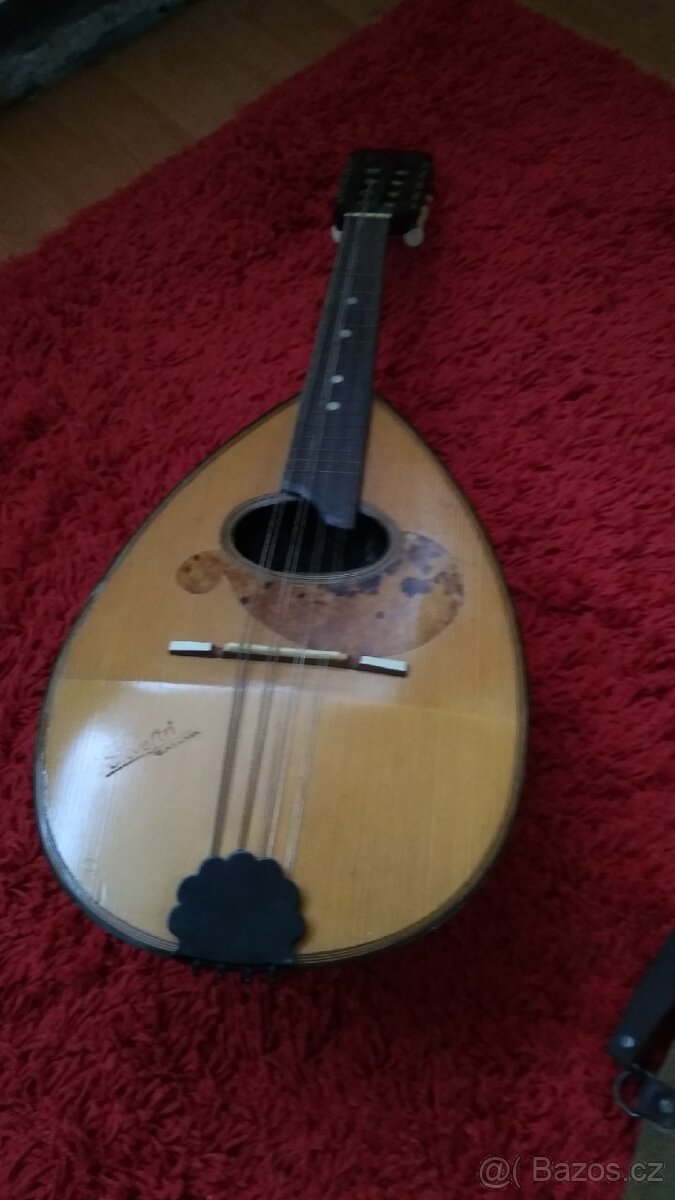 Mandolina nalezový stav - 5
