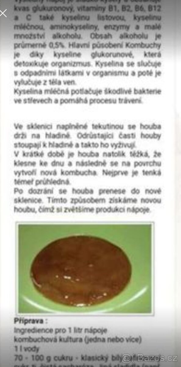 Houba Kombucha, násada - 5