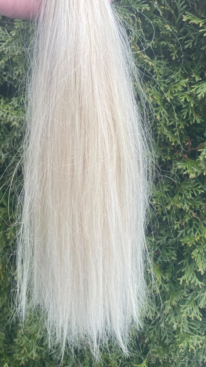 Středoevropské vlasové pasky - 5