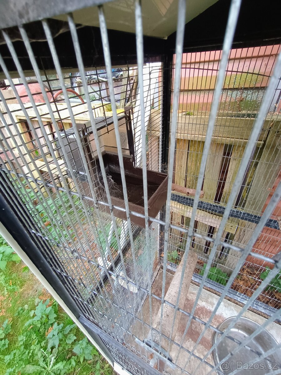 Klec na papouška - 5