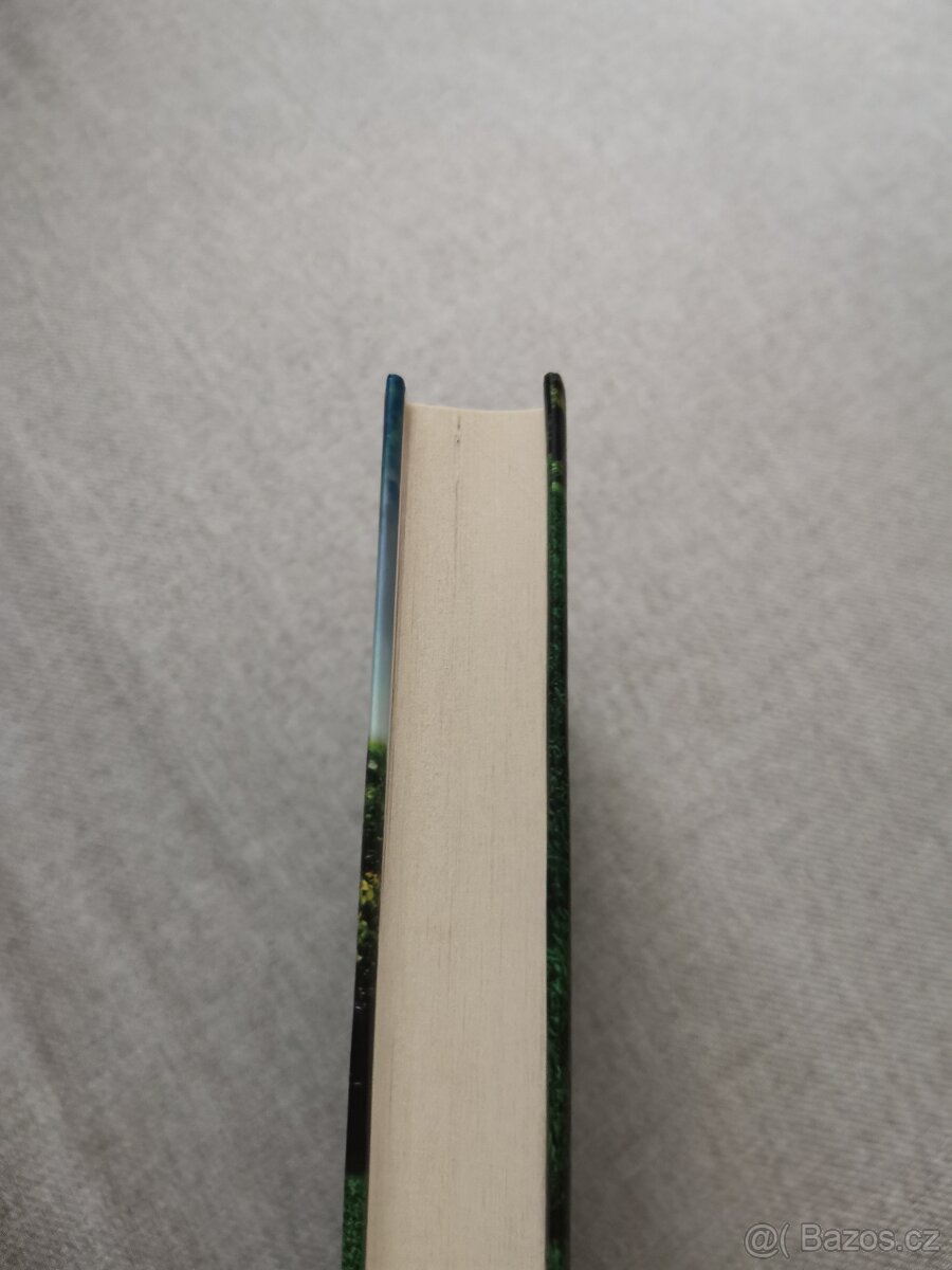 Prolhané městečko - Diane Chamberlain - 5