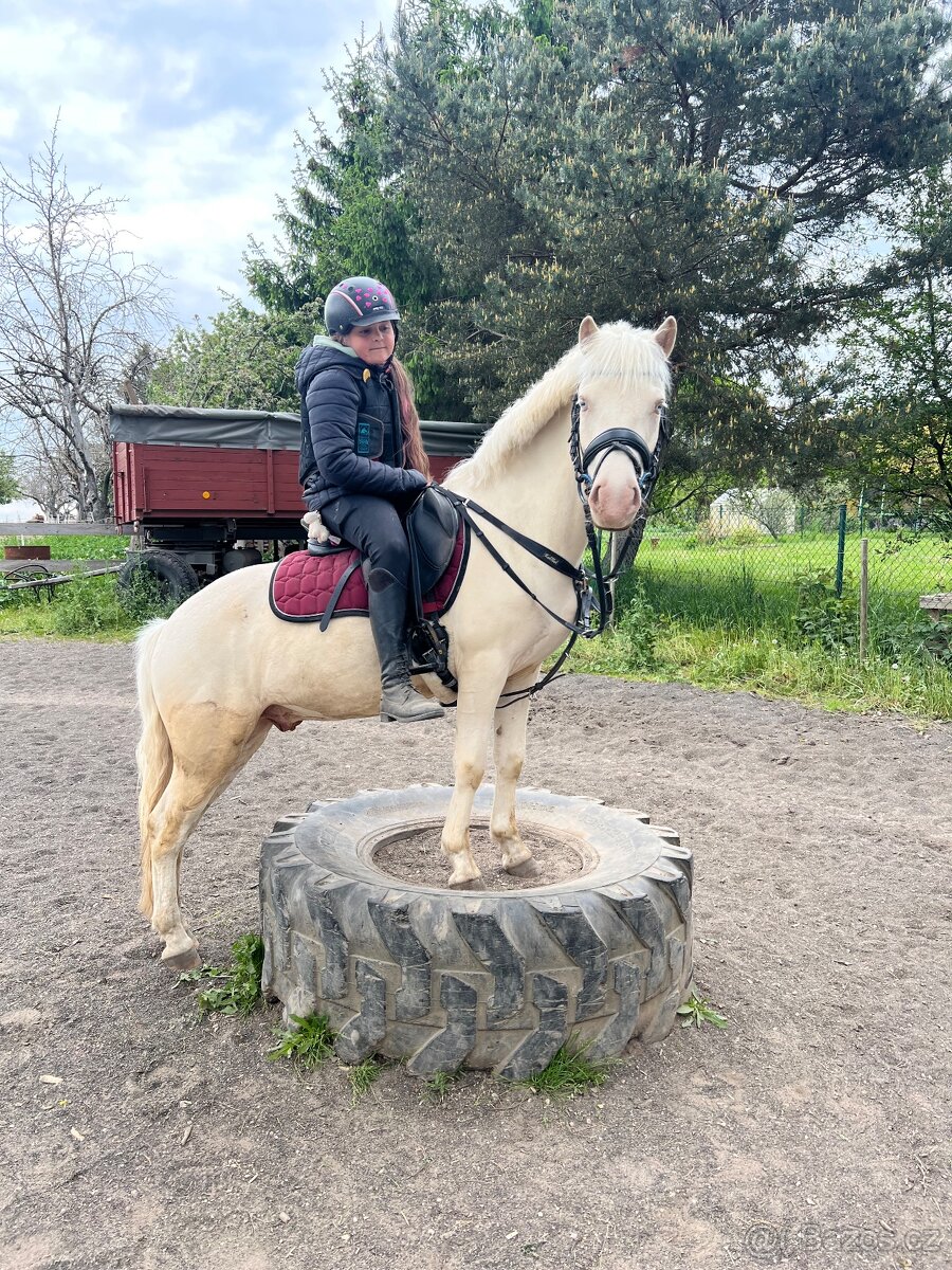 Prodám sportovního pony S - 5