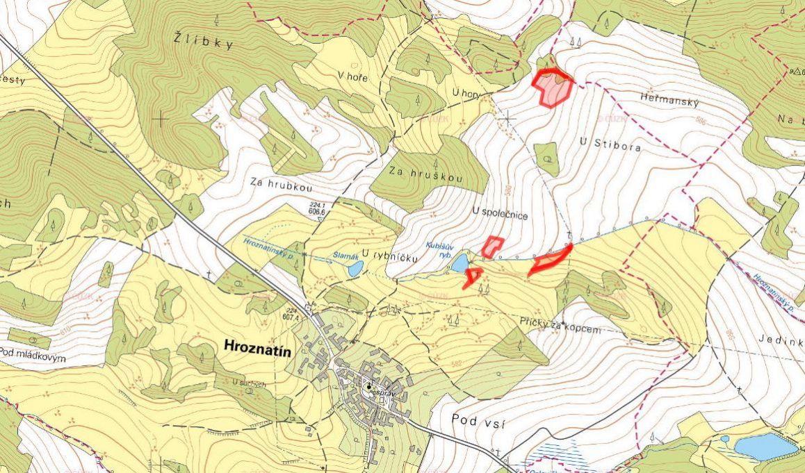 Zemědělská půda, prodej, Hroznatín, Třebíč - 5