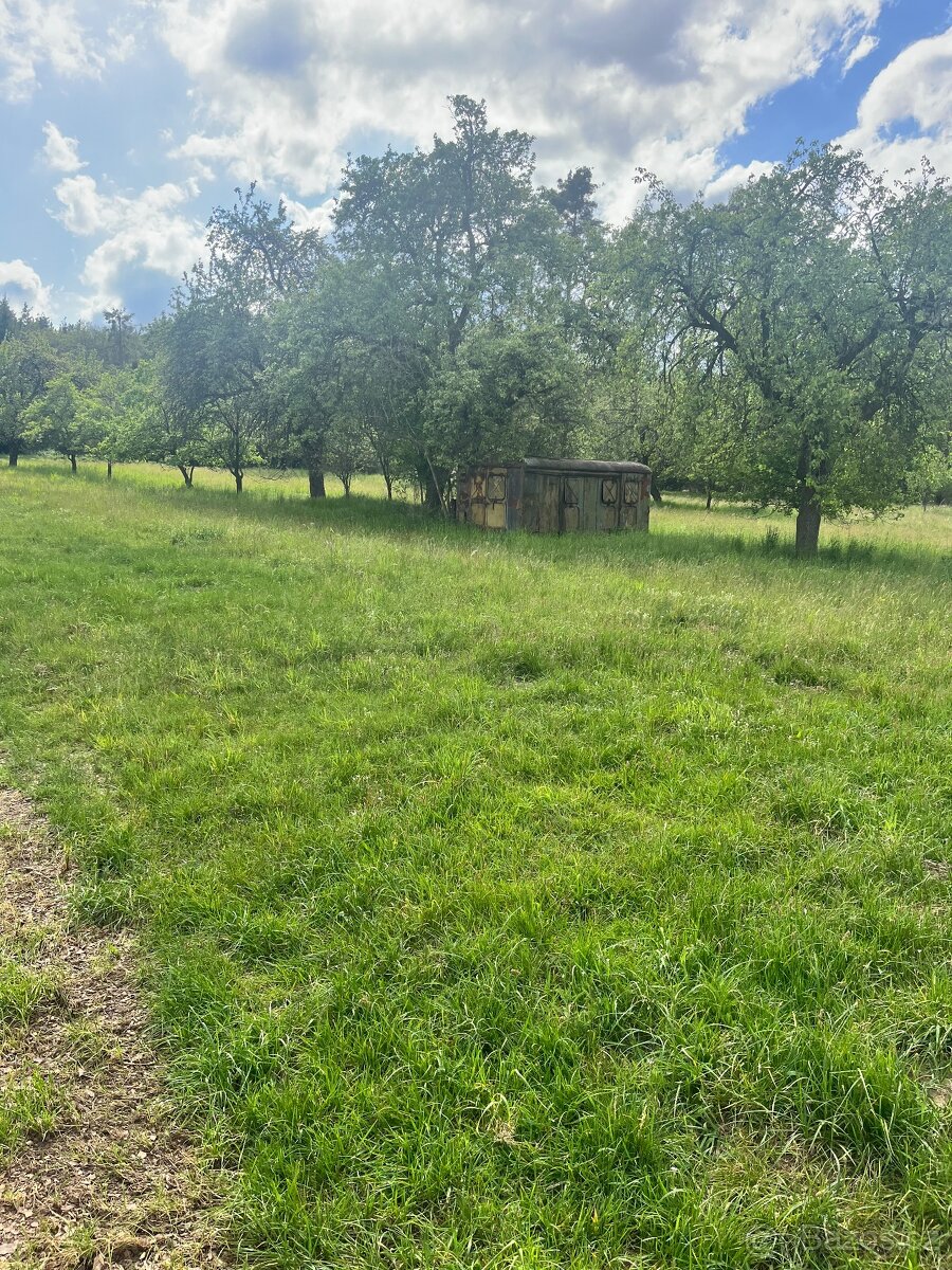 Ovocný sad 5219 m2 - 5