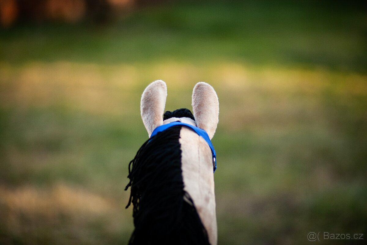 Hobby Horse s ohlávkou a darčekom - 5