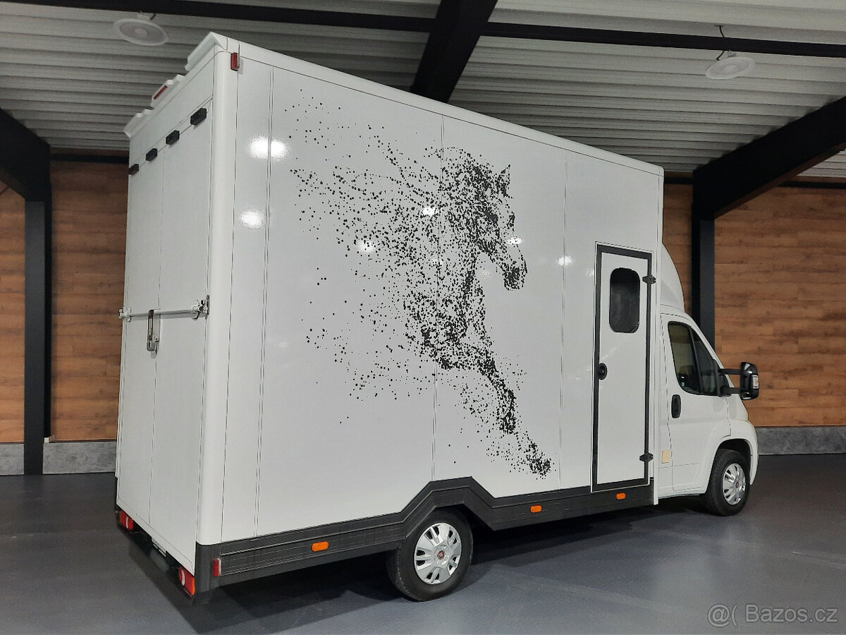 Fiat Ducato - prepravník koní, prepravník na kone - 5