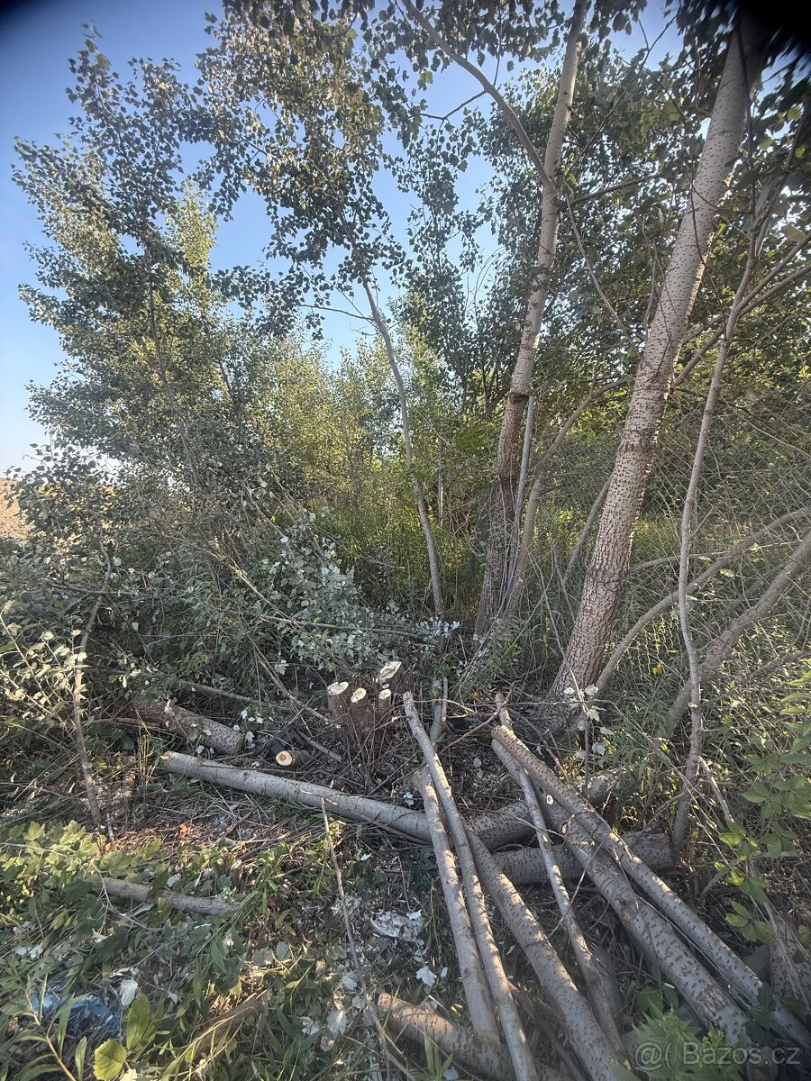 Nabízím své služby - 5