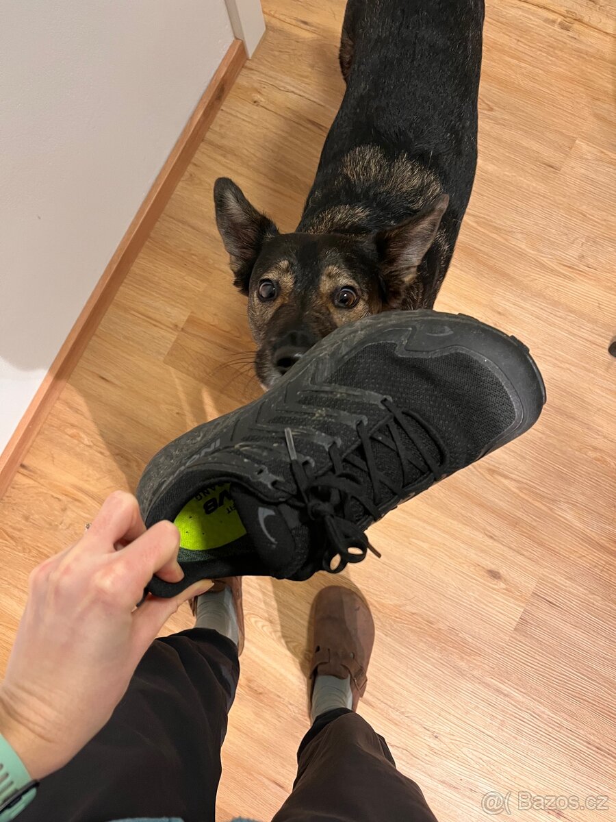 INOV8 ROCLITE GTX BLACK/DARK GREY - 5