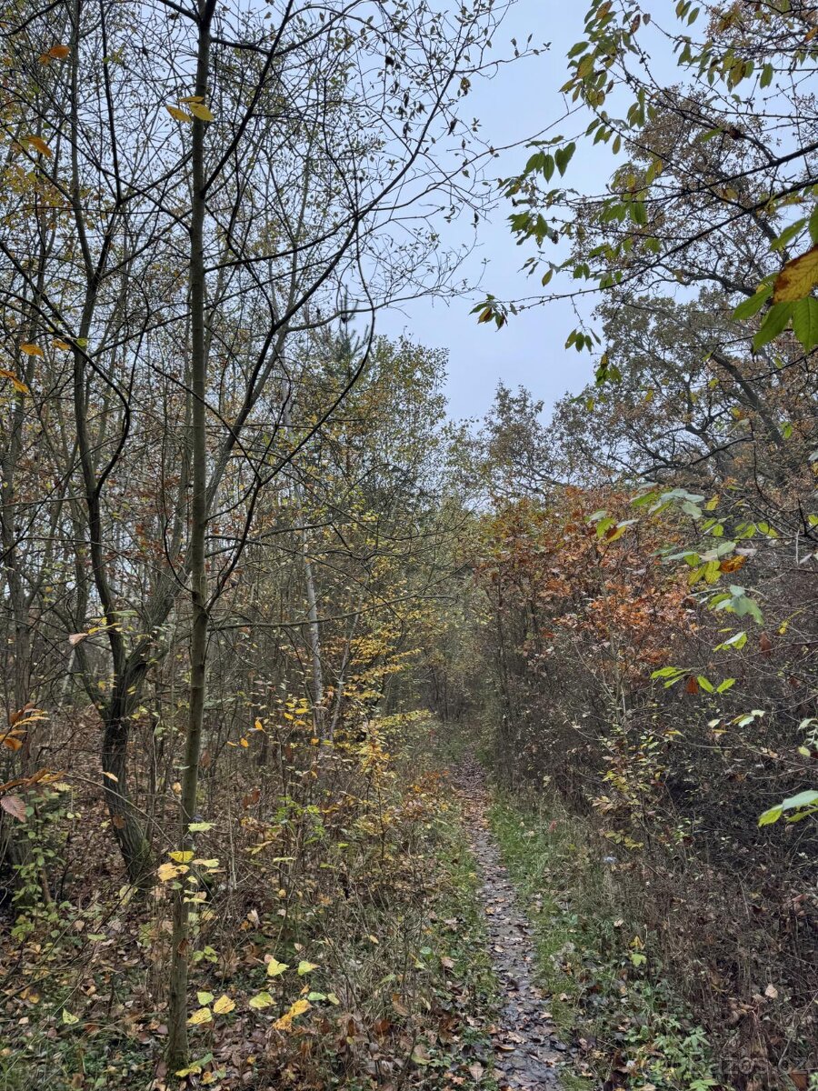 Prodám pozemky v k.ú. Háje a k.ú. Petrovice - 5