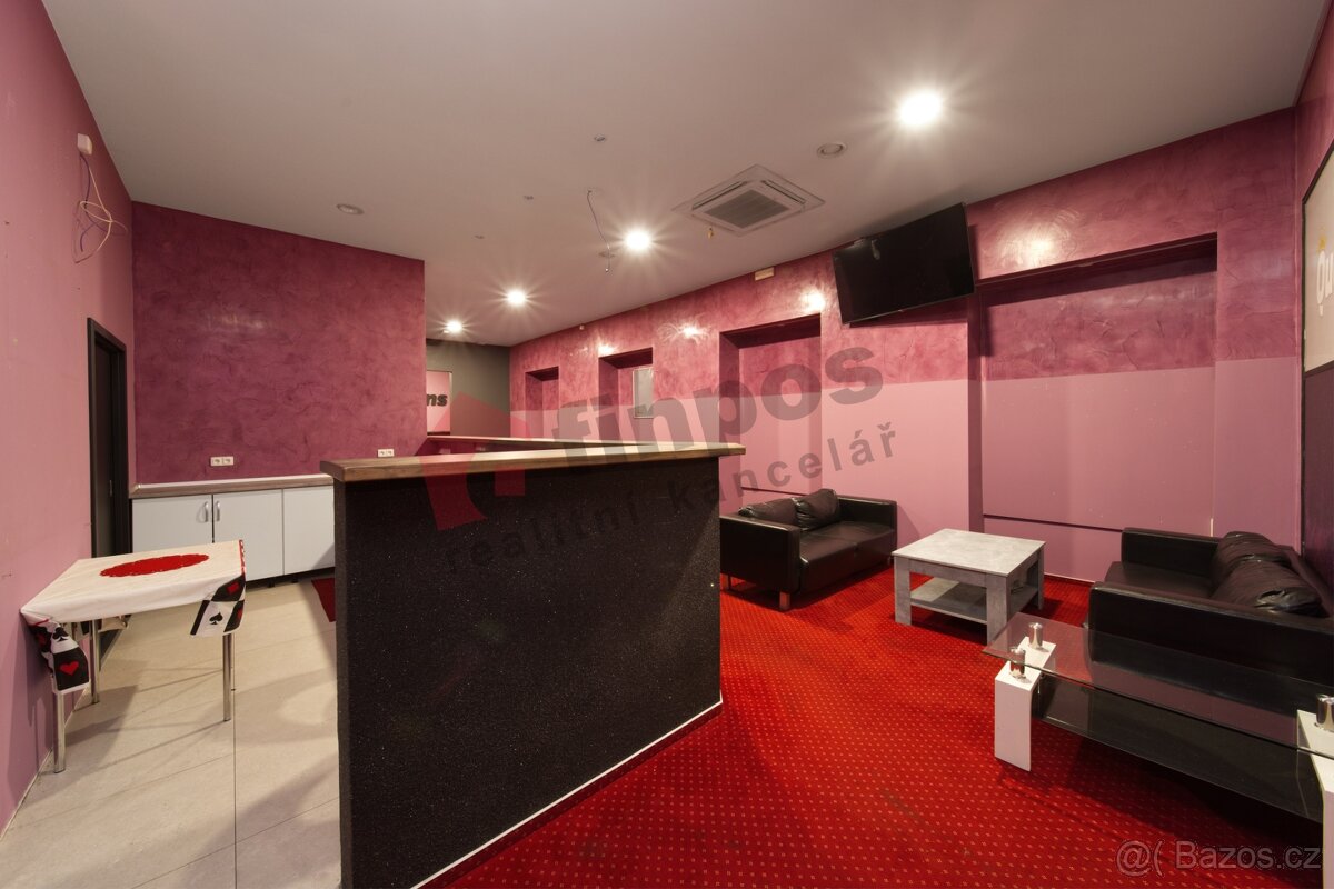 Pronájem komerčních prostor 230m2 Plzeň - 5