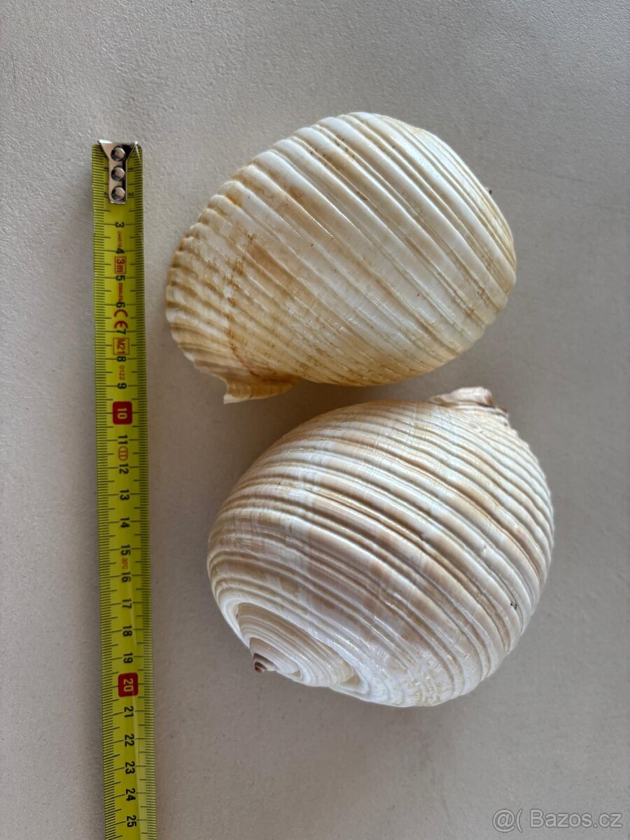 Daruji co už nevyužijeme - 5