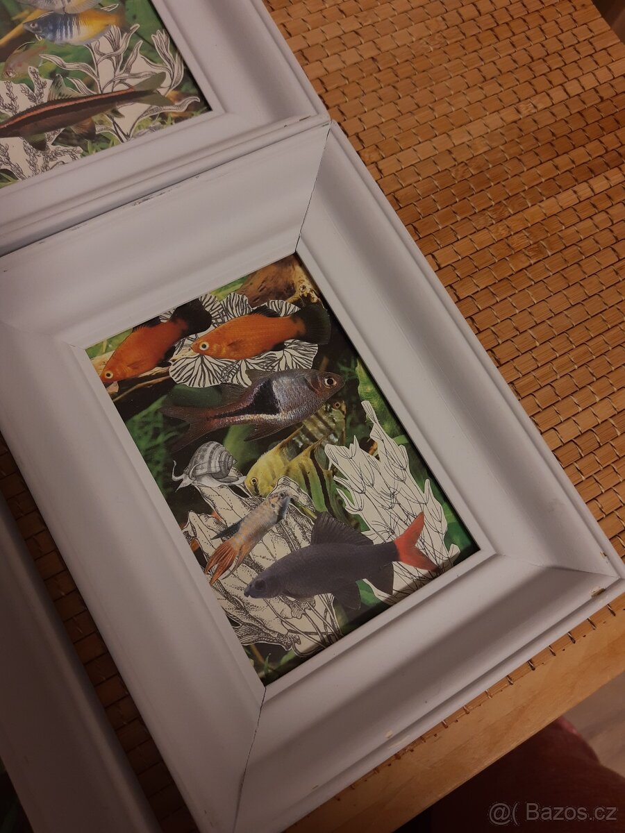 Rámečky/obrázky - 5