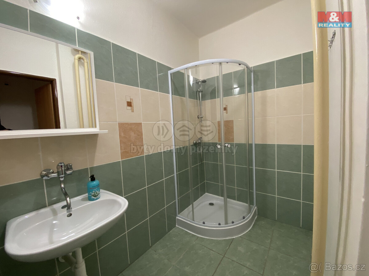 Prodej bytu 1+1, balkon, centrum města, 32 m² - 5