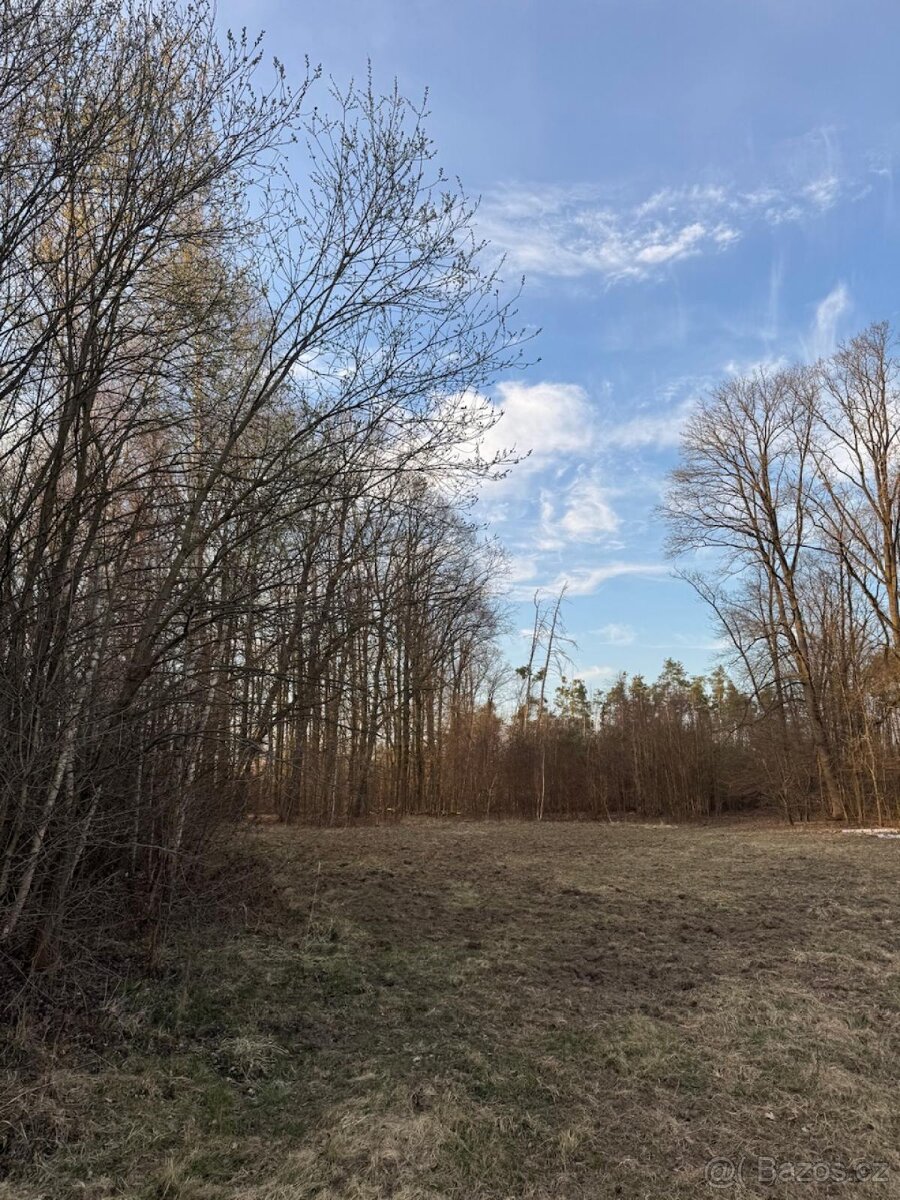 Prodám pozemky v k.ú. Stéblová - 5