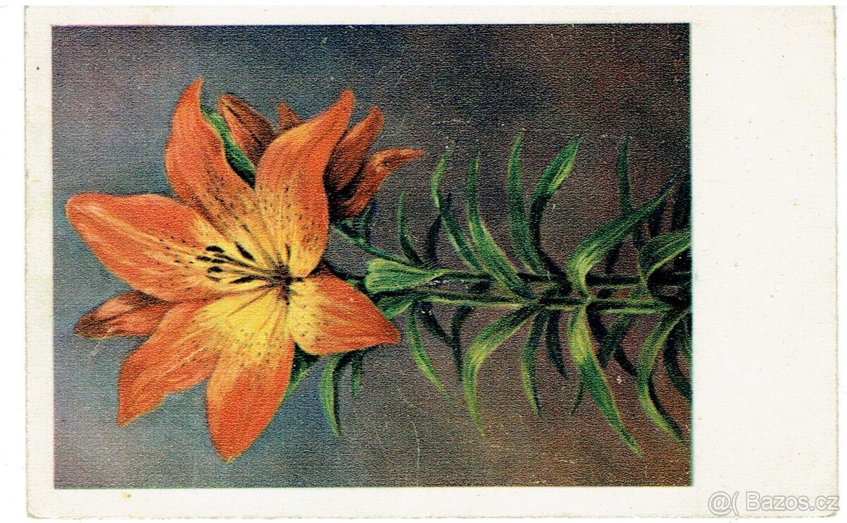 STARÉ POHLEDNICE - 5