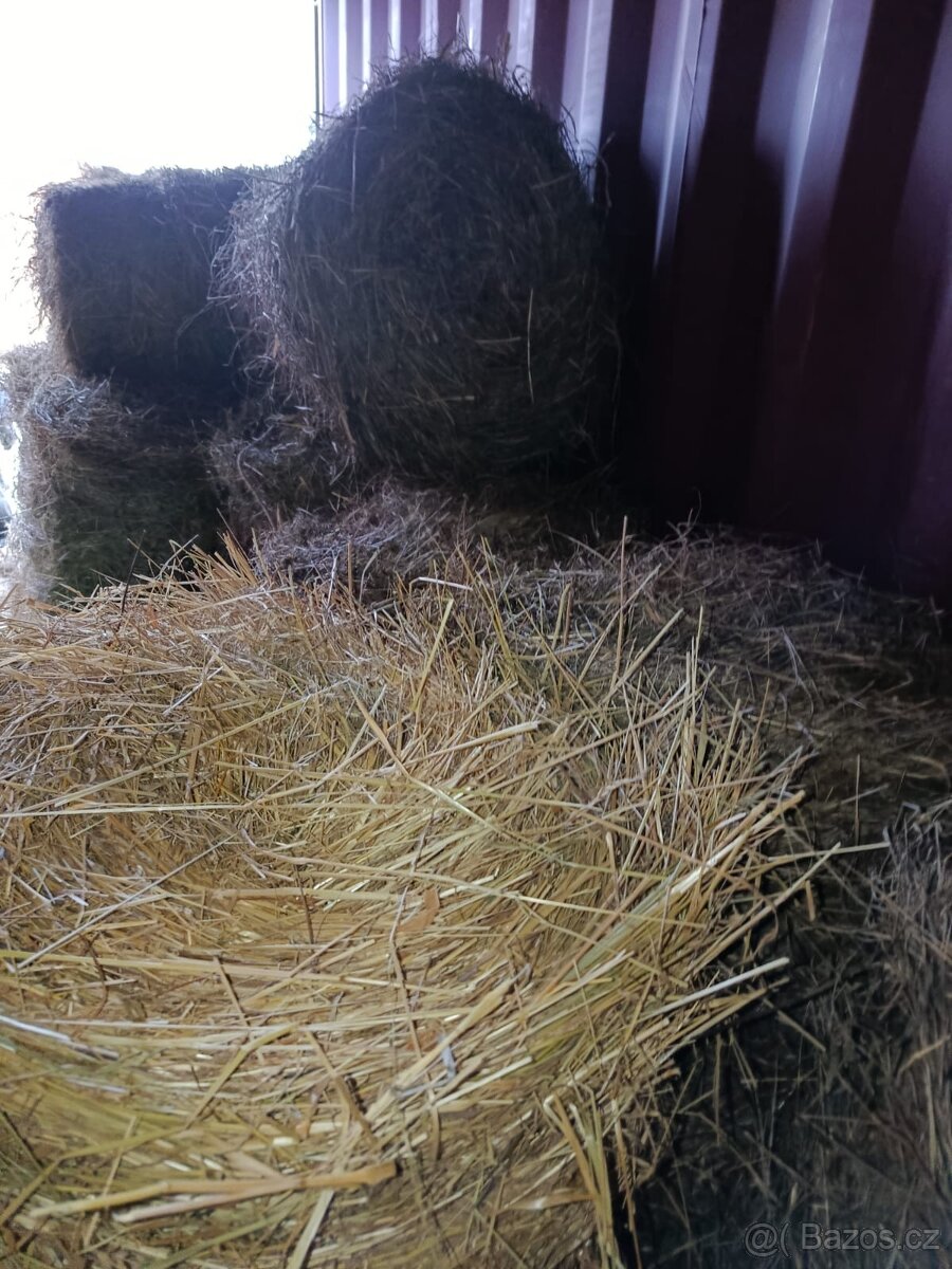 Seno malé balíky - 5