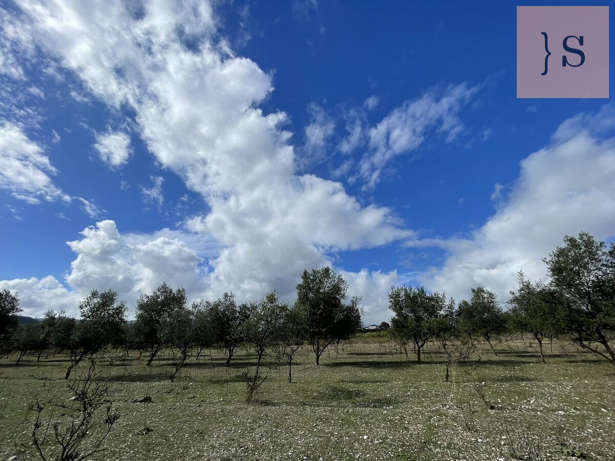 Prodej, pozemek, 4 000 m, , , Česko - 5