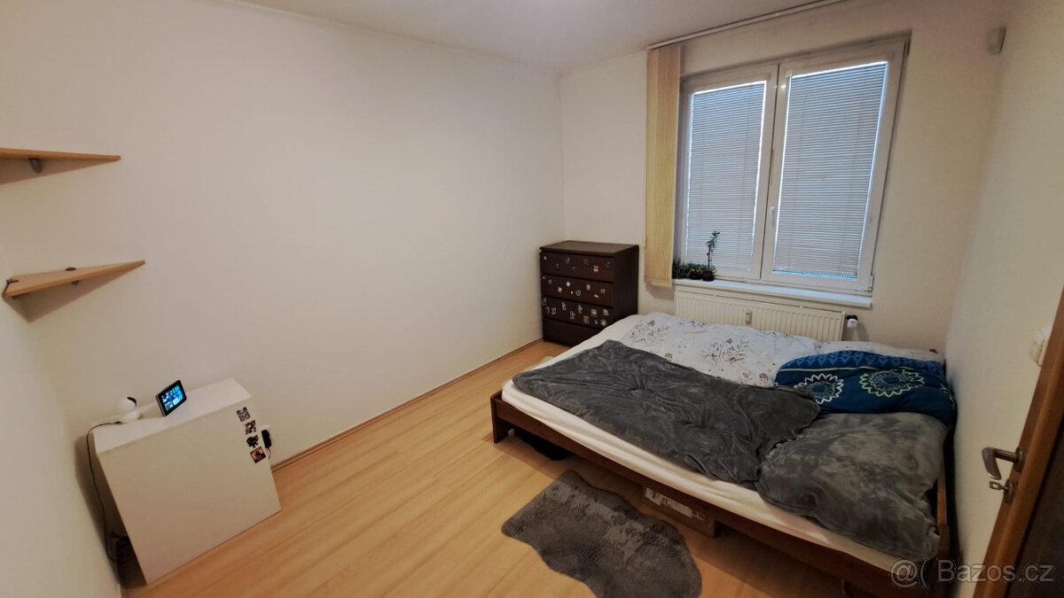 Pronájem v klidné lokalitě - 5