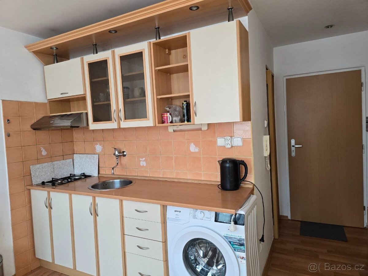 Pronájem bytu 1+1,Drahovice, Karlovy Vary - 5