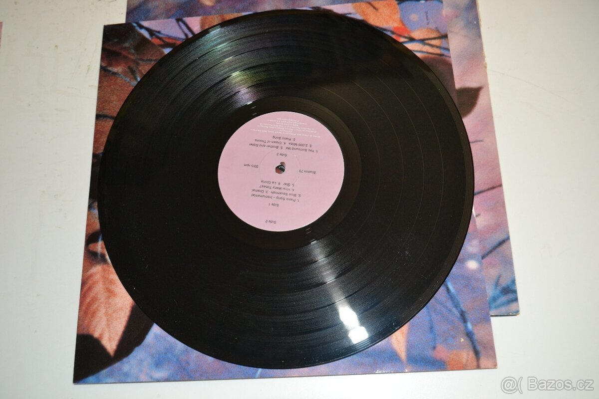 Erasure - Wild lp - 5