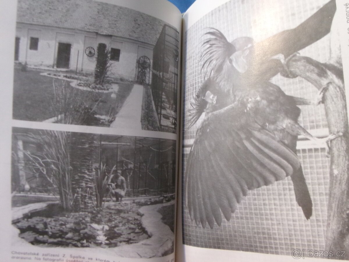 PIZ exotické ptactvo + kanáří 1982-1991 - komplet. - 5