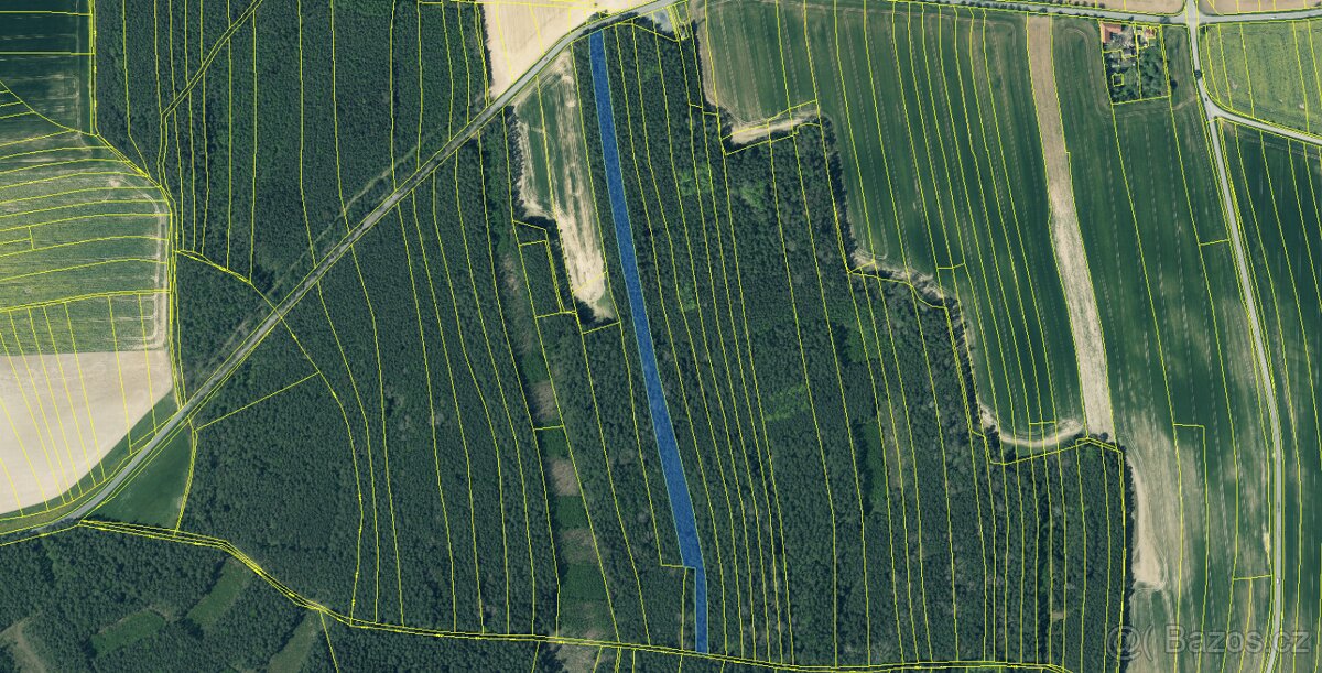 Prodám lesní pozemek v k.ú. Žichlice u Hromnic - 5