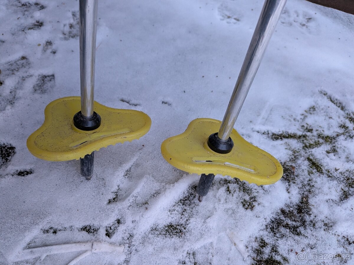 Hůlky na běžky Ideal - 5