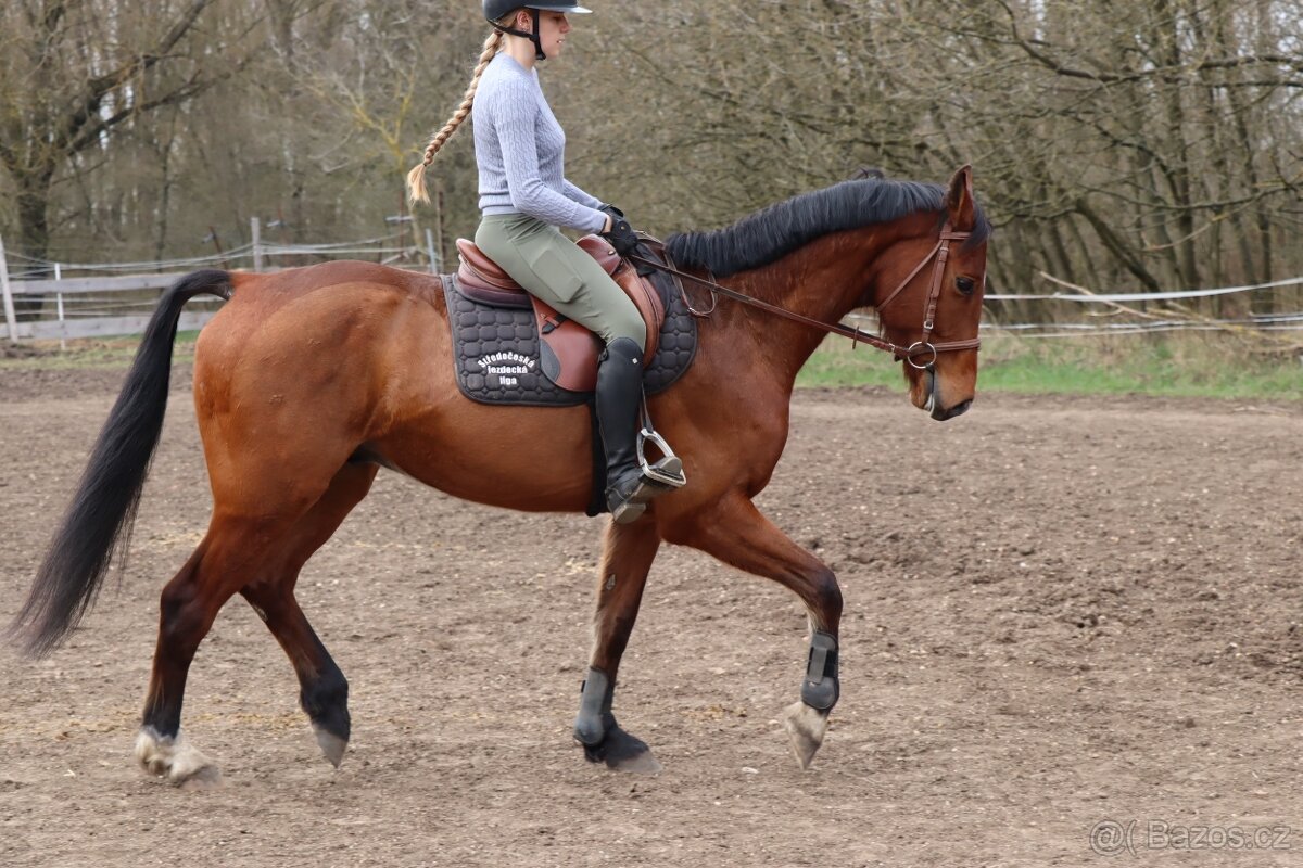 Dámský jemný koník - 5