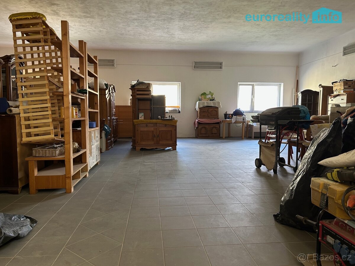 Prodej, komerční prostor, 330m2, Planá - 5