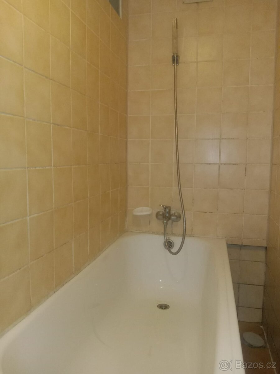Pronájem bytu v domě se zahradou - 5