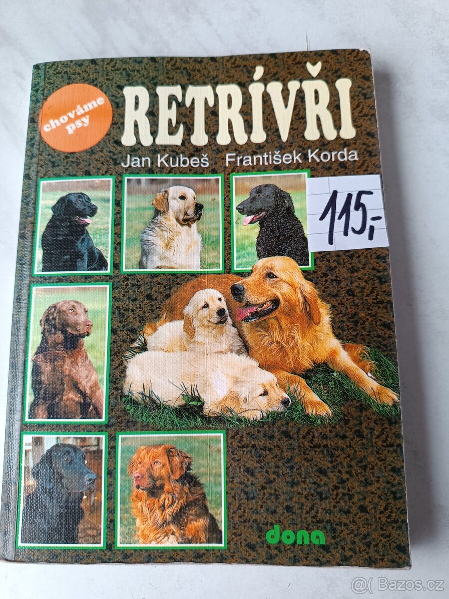 Afghánský chrt pudl westik bišon frise retrivr - 5