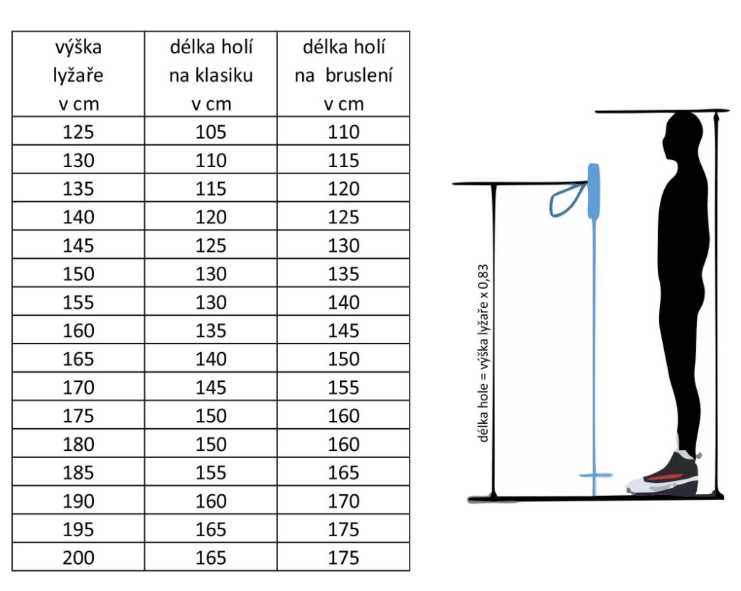 Dětské hole na běžky Leki XTA Base Jr. - 5