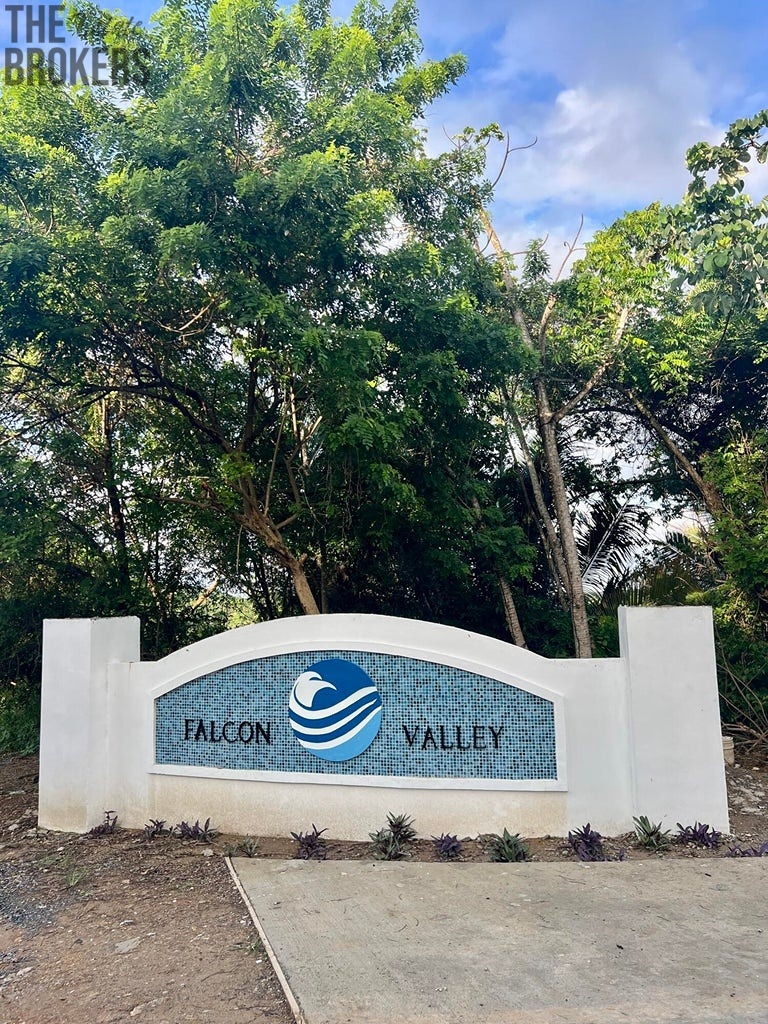 Falcon Valley - 5