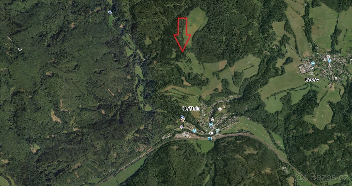 Prodej, les, 11901m2, Drozdov - 5