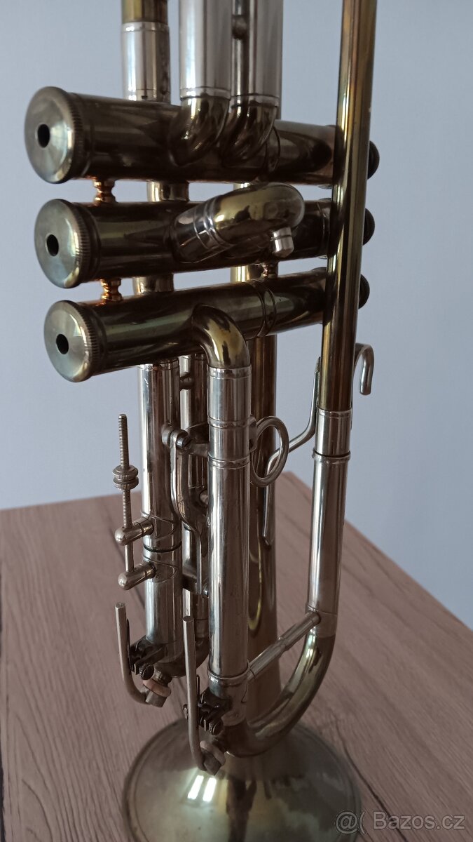 Trumpeta - 5
