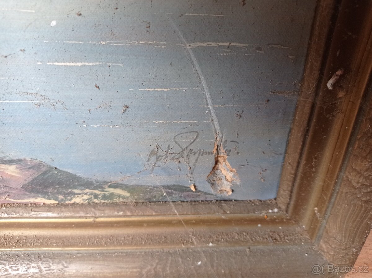 Obrázek obraz obrazy - 5