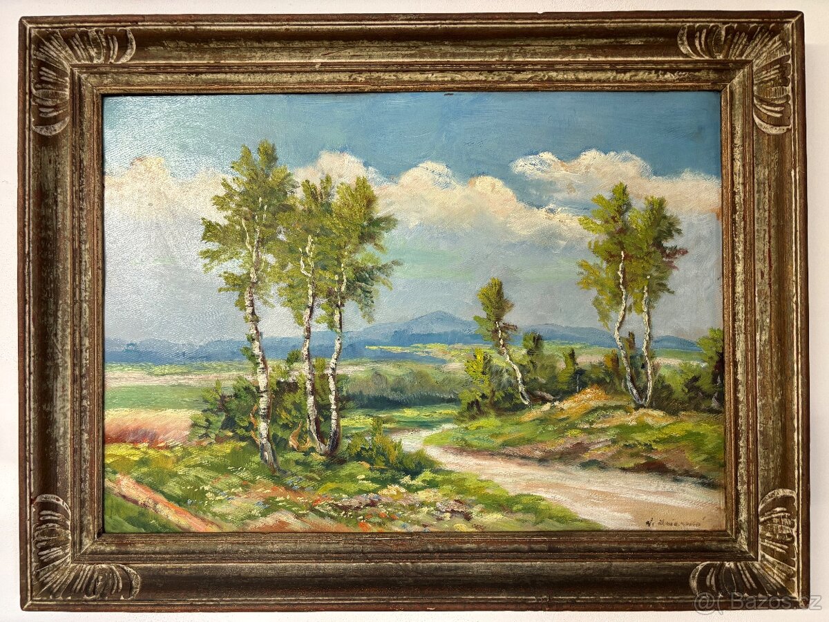 Letní krajina v podhůří - 5