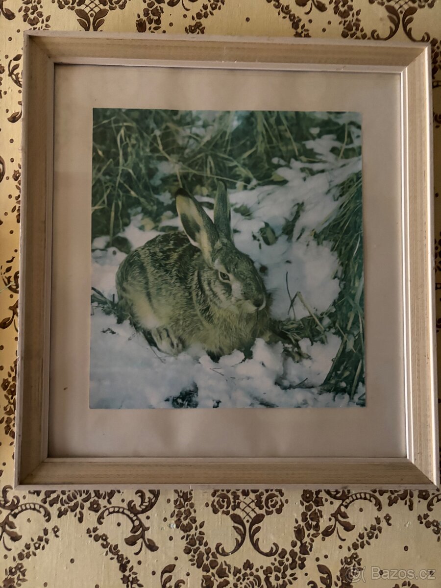 Zasklené obrázky - 5