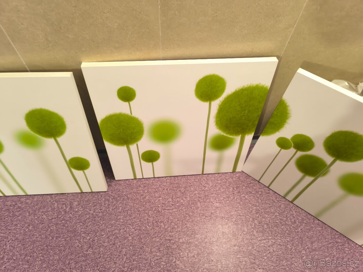 Troj - obraz ( sada ) - 5