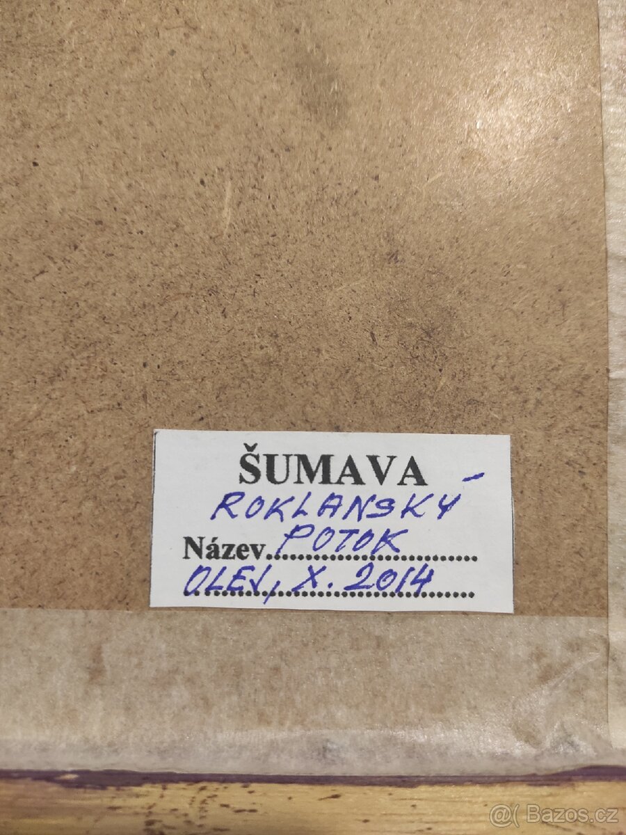 Obrázek- Roklanský potok Šumava - 5