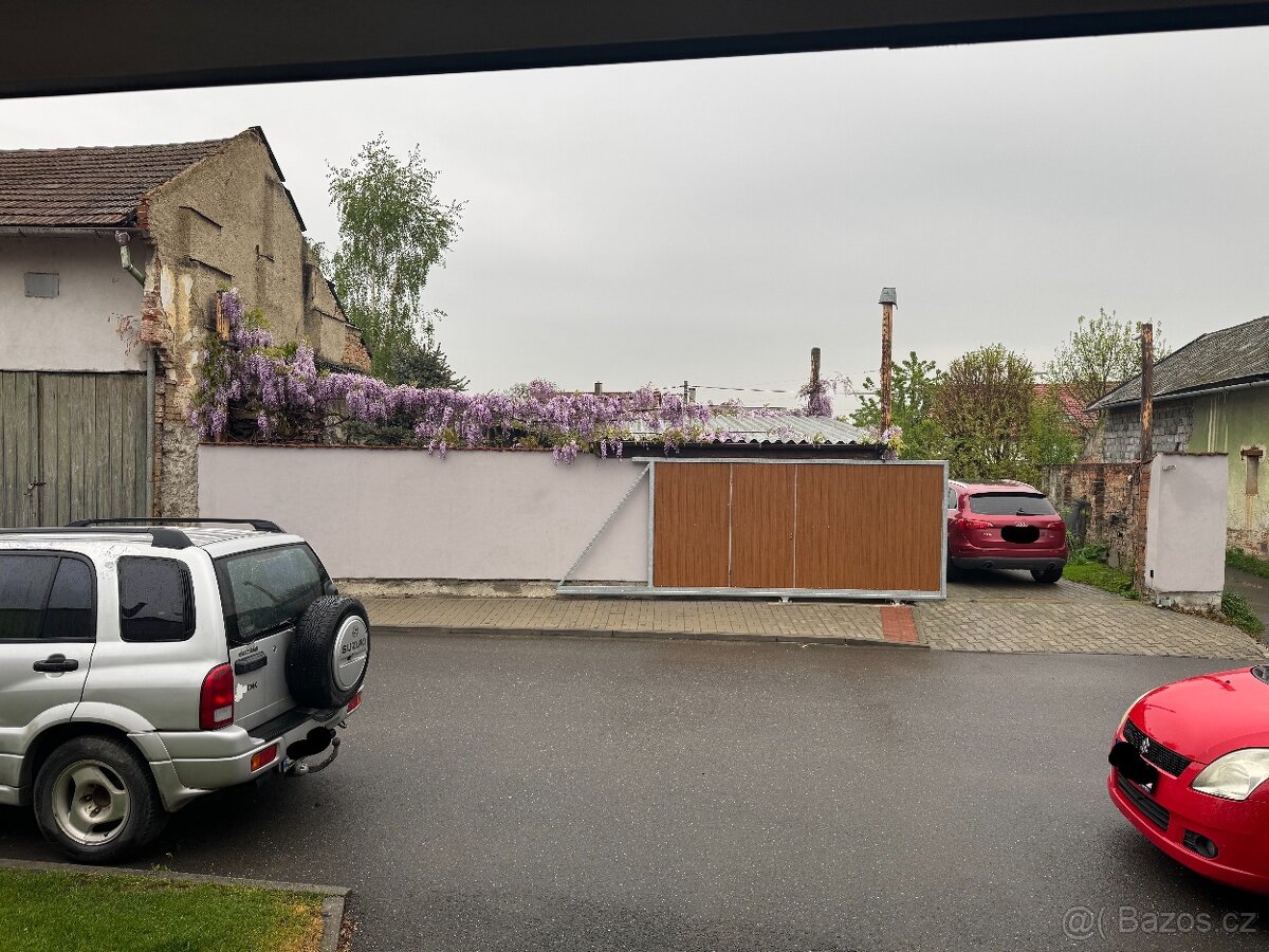 Vistárie Čínská - 5