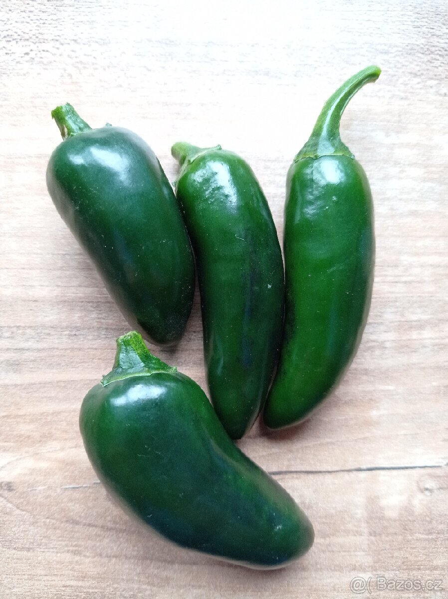 semínka chilli - 5
