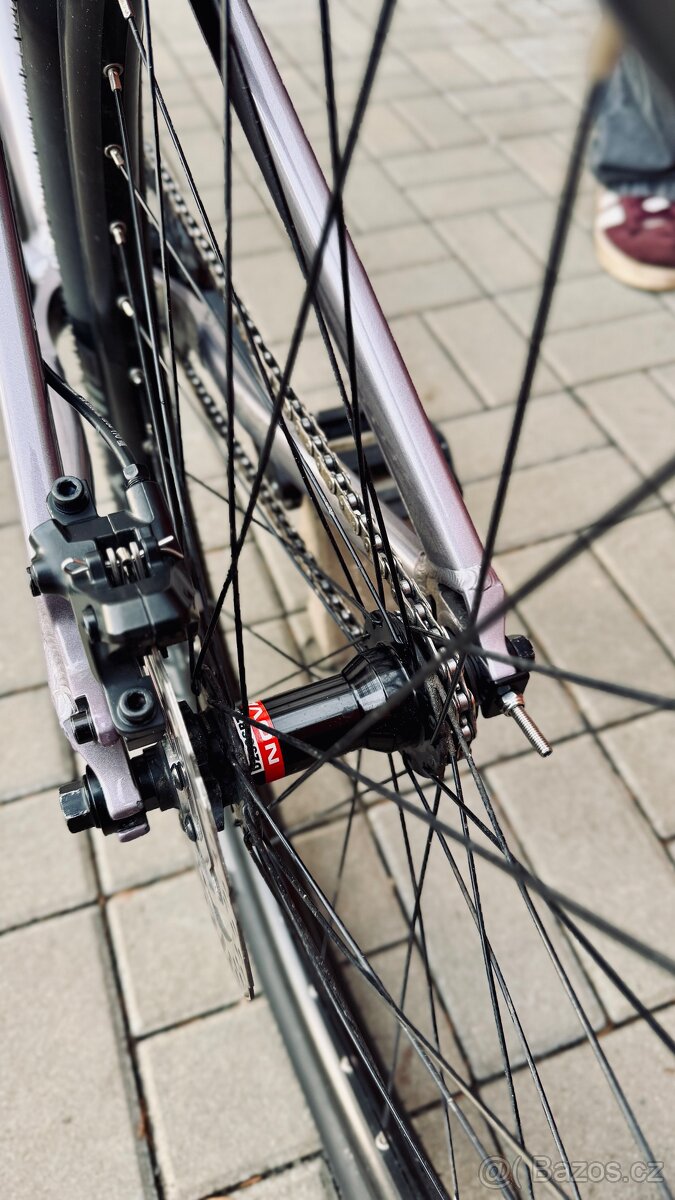 CTM DIRT KING EXPERT - 5