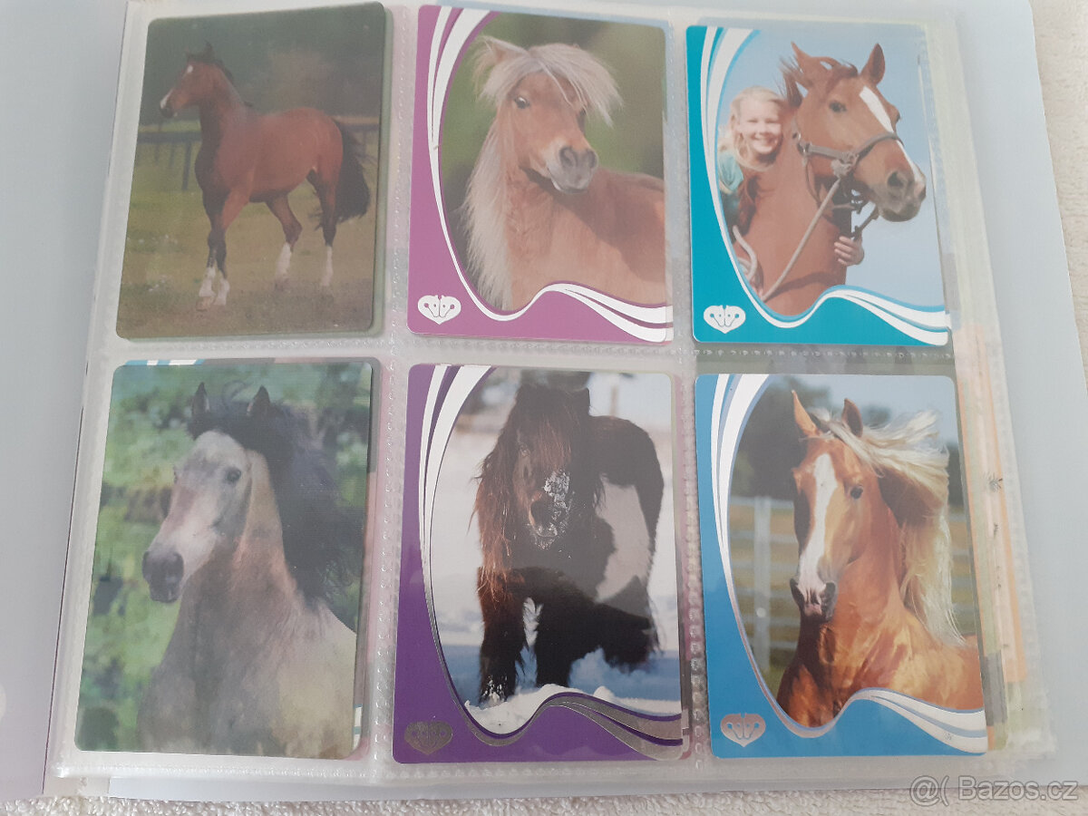 Album na kartičky koní + 40 kartiček - 5