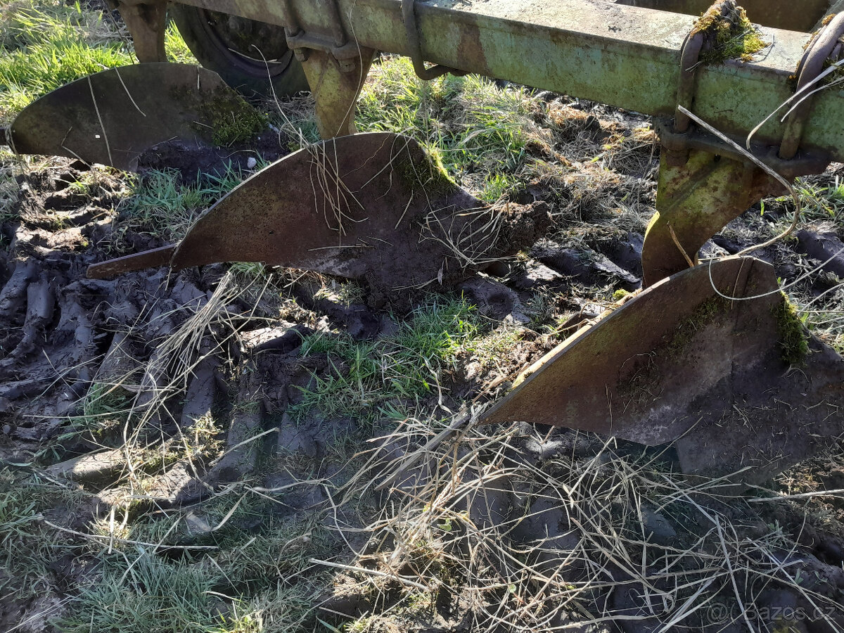 Pluh 5 radličný polonesený - 5