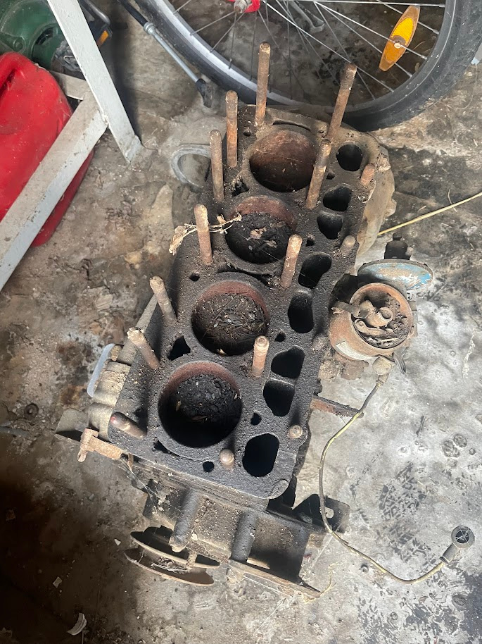 Motor Octavia - Felicia - 5