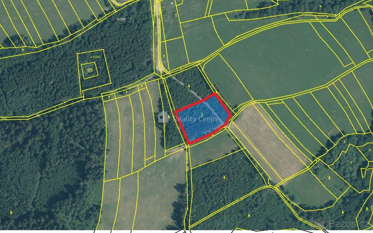 Lesní pozemky k.ú. Růžďka - 5